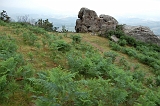 09_GR10 bis
